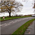 Warning sign - temporary traffic lights ahead, Newport Road, Albrighton