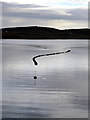 NB1634 : The Loch Barraglom Monster? by John Lucas