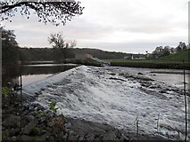 SD7335 : Weir on the Calder at Whalley by Stephen Craven