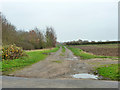 Course of Kelvedon and Tollesbury Light Railway