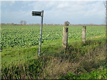 TL3972 : Bridleway to Over from West Fen Road by Richard Humphrey