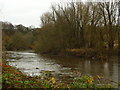 River Irwell, downriver