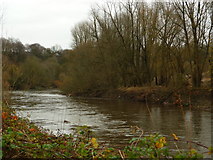 SD8201 : River Irwell, downriver by Carroll Pierce