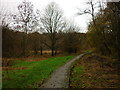 Boardwalk, River Irwell