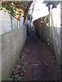 Footpath - Nell Gap Lane