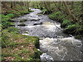 Cascading water on the Reaston Burn