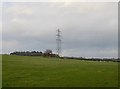 Pylon in field off Whitmore Road