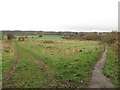 Footpaths beyond Neddy Lane 