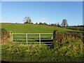 Derrygooly Townland