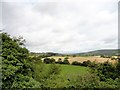 View up the Browney Valley