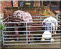 Cammi and Harriet at Wroxham Barns