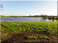 Flooded countryside, Guiness