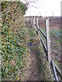 Footpath - Swallow Lane