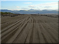 Tyre marks on Black Rock Sands