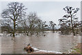NO1020 : River Earn in flood by William Starkey