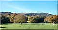 Autumn colours in Donard Park