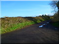 Bridleway to Poling seen from footpath junction