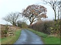 SK2308 : Gate and trees on Syerscote Lane by Christine Johnstone