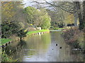 The New River (old course) south of Parsonage Lane, EN2