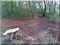 Woodland bench