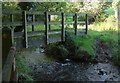 Footbridge over Hawkridge Brook