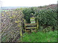 Stile and holly tunnel on a public footpath, Kirkheaton