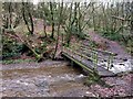 Footbridge over Cheesden Brook