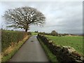 Bridleway / farm access track East of Birtle