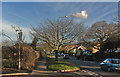 Mixed traffic on Chester Road