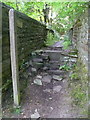 Footbridge over the disused railway, Norland