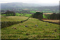 Fields above Bamford