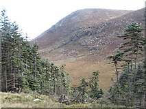 J3629 : The Black Stairs hanging valley from the Donard Wood panhandle by Eric Jones
