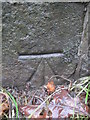 Ordnance Survey Cut Mark