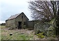 Old outbuilding at David