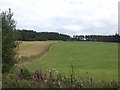 Fields near Munlochy