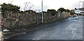 Old shipyard wall at Belhaven Street