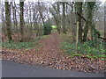 Footpath through Malhamashfold Furze