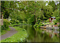 Canal at Cookley, Worcestershire