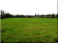 Drumcrin Townland