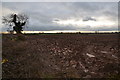 SK7571 : Ploughed field by Julian P Guffogg