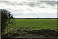 Land near Westwood Farm