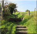 Steps and path to Forgeside Road, Forgeside