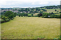 A field of sheep near Painswick