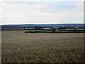 SK5378 : View towards Arrow Farm by Jonathan Thacker