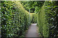 Footpath to South Malling