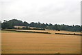 Farmland in the Soar Valley