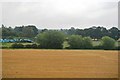 Farmland by the main line