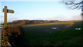 Footpath over the fields