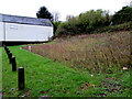 Unmown area for bees, Abersychan