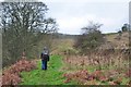 Path above the Larkhall Burn